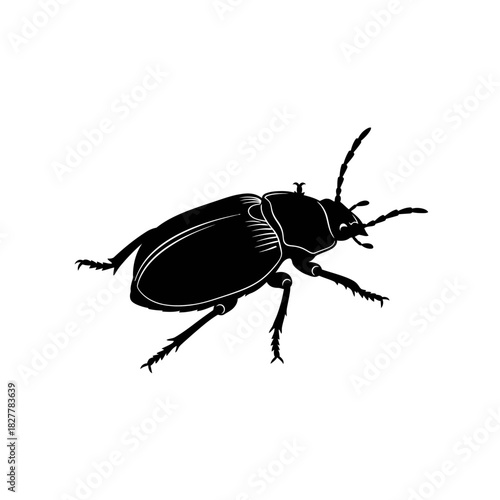 Distinctive Vector Silhouette of a Desert Beetle with Armored Shell