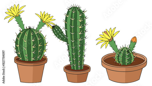Illustrative collection of three different potted cacti with vibrant yellow flowers, showcasing various shapes and sizes of desert plants