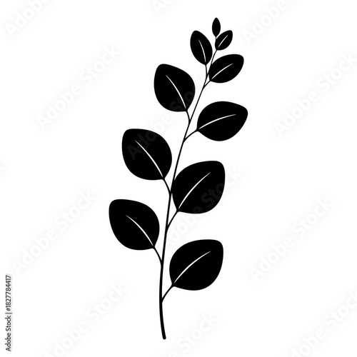 Flowing Natural Eucalyptus Branch Silhouette for Australian Themes and Wellness