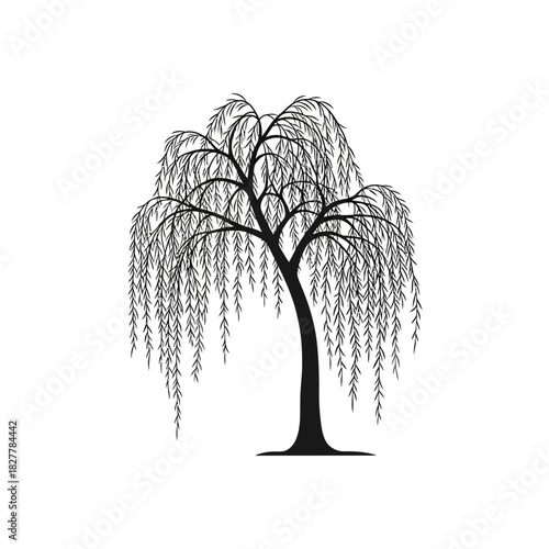 Graceful Weeping Willow Silhouette for Serene Branding and Decorative Panels