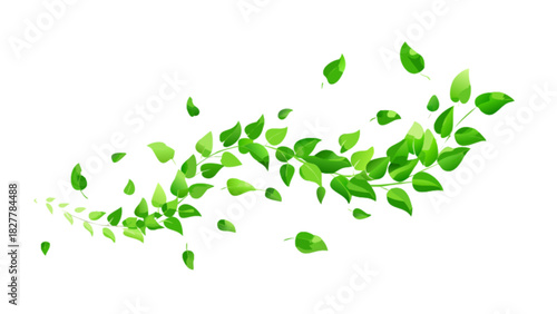 Green leaves and vines forming a dynamic, flowing curve, symbolizing nature, freshness, growth, and organic vitality on a clean background.