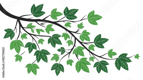 Stylized tree branch illustration with vibrant green leaves and white vein details, symbolizing natural vitality, ecological growth, and fresh seasons.