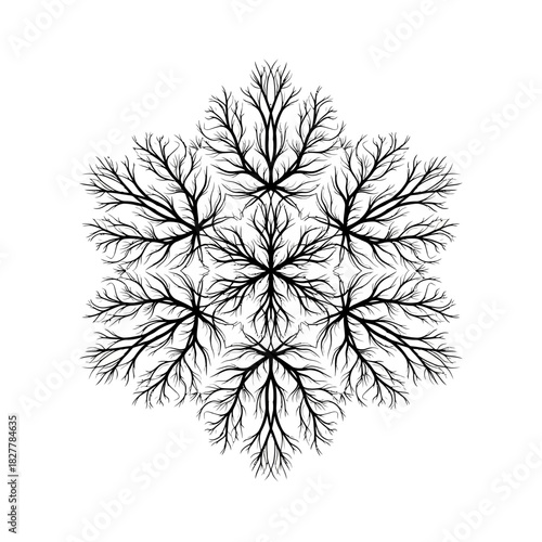 Intricate Symmetrical Silhouette of Roots Forming a Mandala Pattern