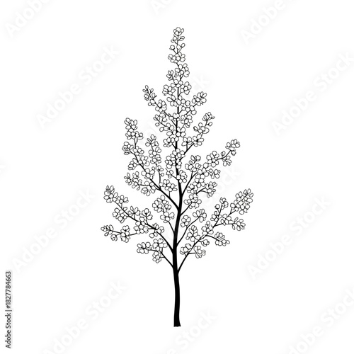 Minimalist Silhouette of a Slender Pear Tree Adorned with Blossoms