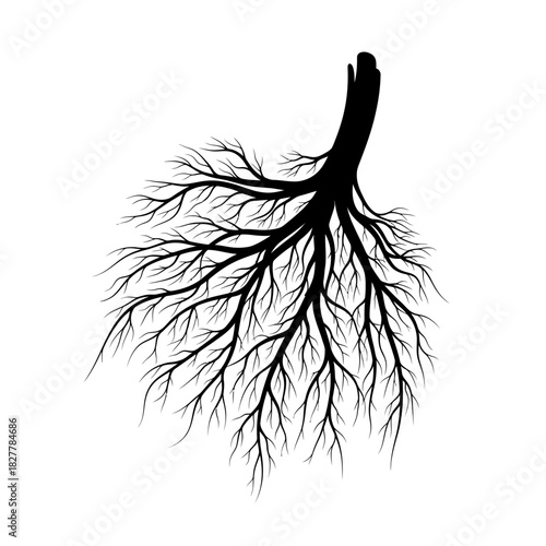 Modern Symbolic Silhouette of Roots as an Interconnected Life Network