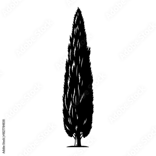 Timeless Architectural Cypress Tree Silhouette for Landscape and Solemn Themes