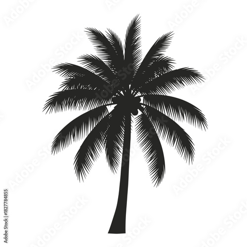 Tropical Palm Tree Silhouette for Exotic Branding, Travel, and Resort Logos