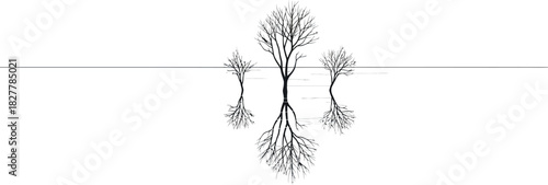 Minimalist winter scene with bare trees reflected in water on a white background