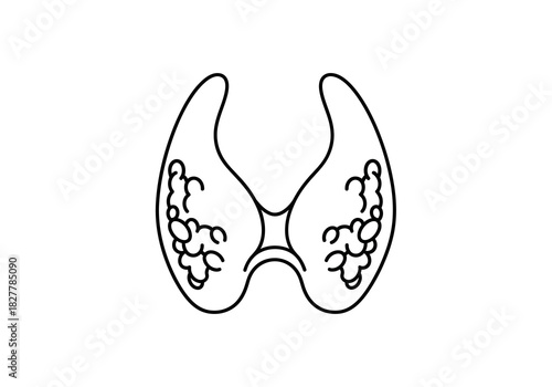 Thyroid gland line art symbol representing endocrinology, human anatomy, and thyroid health conditions isolated on white