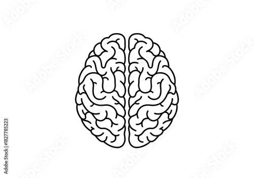 Brain Illustration A Simple Black and White Outline Depicting Human Mind and Intelligence