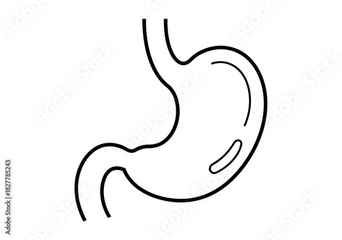 Simple Outline Illustration of a Human Stomach in Black and White, for Health or Medical Concepts