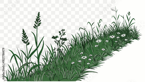 Green grass and wild flowers vector illustration. lush natural meadow border with blooming daisy-like plants, tall stalks, and diverse foliage on transparent.