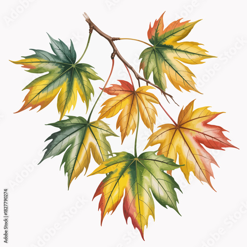 A collection of vividly colored autumn leaves captured with intricate details, demonstrating nature's artistry and the enchanting transformation of foliage in the fall season.