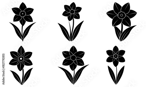 Elegant daffodil flower collection for spring designs, perfect for modern floral patterns and springtime announcements, originally a scalable vector graphic