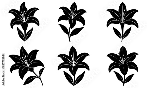 Elegant lily flowers bloom, delicate floral arrangement with timeless appeal. Perfect for wedding invitations, branding, and sophisticated design projects