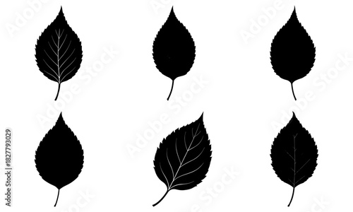 Nature's elegant simplicity: Leaf silhouettes in striking black and white offer endless design possibilities, ideal for eco-friendly branding and organic themes