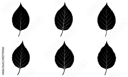 Simple leaf pattern design showcases nature's beauty, ideal for elegant stationery, packaging, or branding projects, offering a touch of organic sophistication