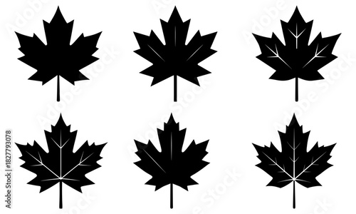 Diverse maple leaf icons, a modern collection of vector shapes showcasing Canadian pride and unity, perfect for branding, logos, and patriotic designs