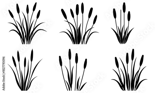 Elegant cattail silhouette collection for nature-inspired designs, perfect for logos, invitations, and botanical themes with a touch of wild, serene charm