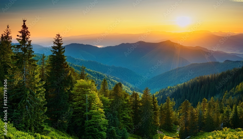 Obraz premium Mountain Vista At Sunset Dense Forest