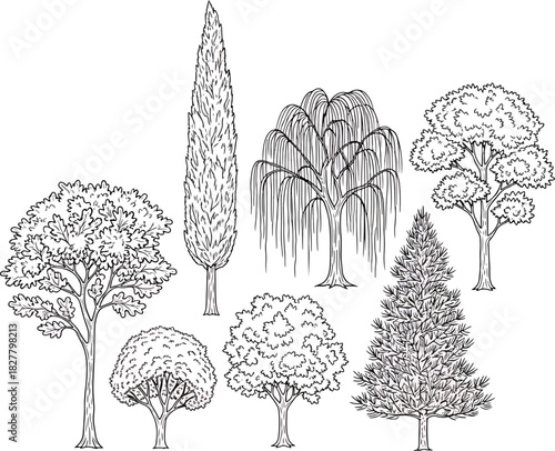 Collection of diverse hand-drawn tree illustrations featuring oak, cypress, weeping willow, and pine varieties, isolated on white