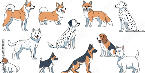 Collection of diverse dog breeds illustrated in a flat, modern vector art style, featuring various poses and colors on a white background