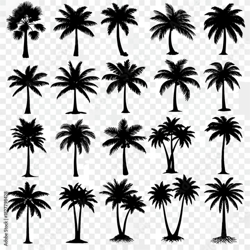 Collection of diverse black silhouette palm trees with detailed fronds and trunks, isolated on a transparent background, various shapes and sizes