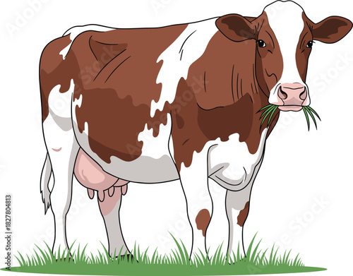  Standing Realistic Dairy Cow Grazing on Grass Vector Illustration.