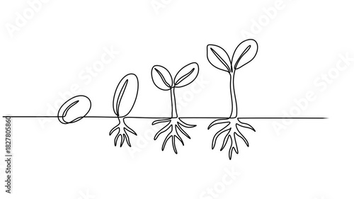plant growing line art doodle draw process whiteboard symbol sign concept, Animated self drawing of continuous line draw.  nature theme with plant. Concept of growing and love earth. Full length one.