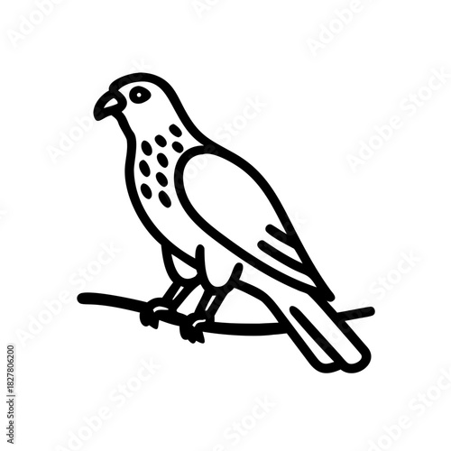 Dove perched on a small branch