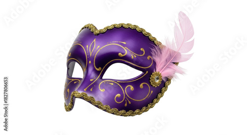 Isolated Purple Mardi Gras Mask with Pink Feather Ornament on the Side, Traditional Accessory