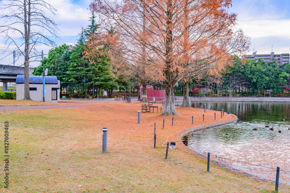 Naklejka premium 杜の都仙台 秋の七北田公園を歩む