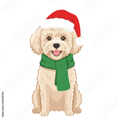 Cute Maltipoo Dog in Santa Hat and Green Scarf