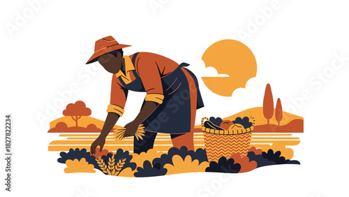 African farmer harvesting fresh crops in a field. Ideal for agricultural lifestyle, farming culture, subsistence work, and rural livelihood visuals
