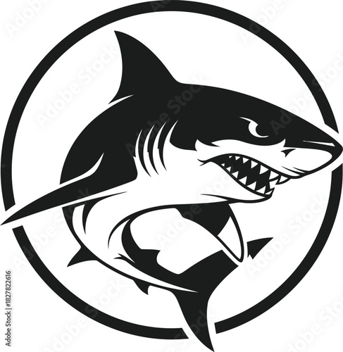 Shark vector illustration of a killer shark, a marine animal swimming underwater in the ocean, suitable for a logo or tattoo design