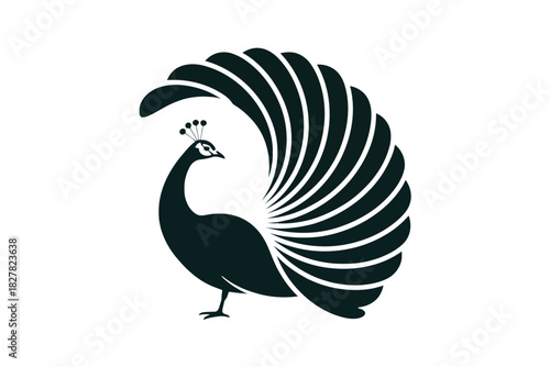 Stylized black silhouette of a peacock with its tail feathers fanned out in a semi-circle bird