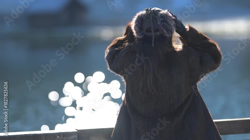 Modella posa al freddo 