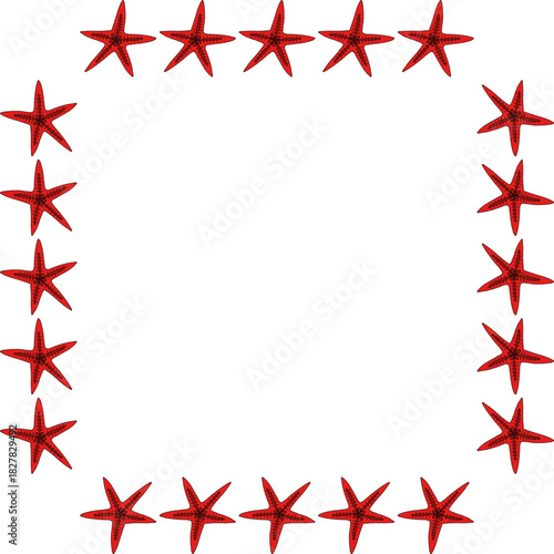 Square frame with wonderful red starfish on a white background. vector image..eps