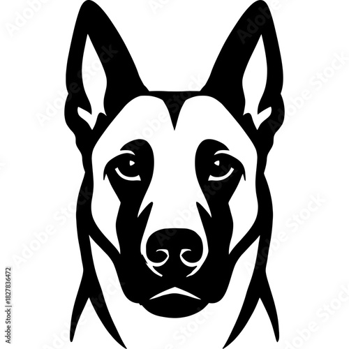 Black vector silhouette of belgian malinois head