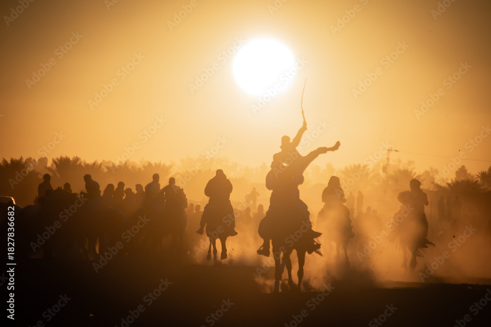 Fototapeta premium cours du cheval en coucher de solier