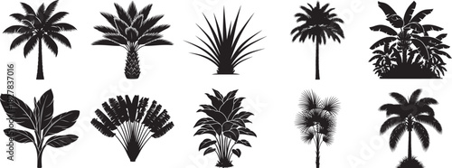 Tropical palm tree silhouette vector collection for summer, beach, travel and nature landscape design