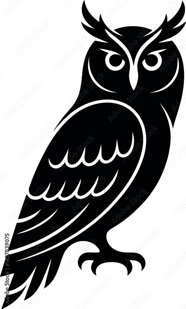 Fototapeta premium Black owl graphic illustration white