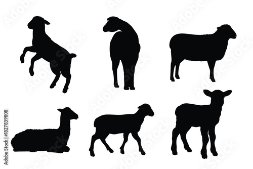 Sheep and Lamb Silhouette Vector Set