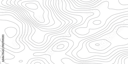 Abstract White wave paper curved reliefs abstract background, Abstract topographic contours map background, Topography map background. Vector geographic contour map. 