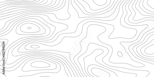 Abstract White wave paper curved reliefs abstract background, Abstract topographic contours map background, Topography map background. Vector geographic contour map. 