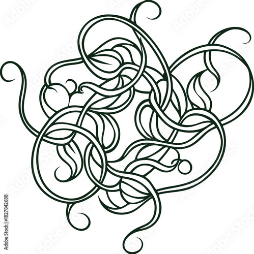 Intricate Dark Green Swirling Organic Design Element