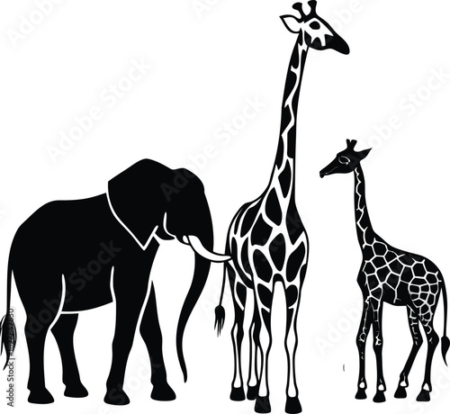 Silhouette of Elephant and Two Giraffes on White Background Keywords: elephant, giraffe, african