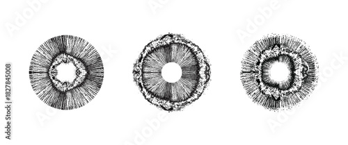 Grunge circular splatter frames set, ink burst and distressed ring vector illustration.