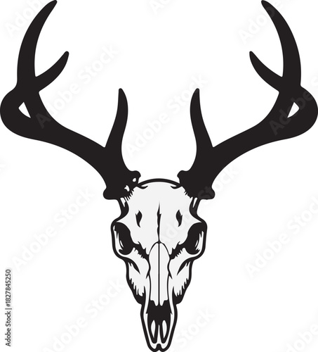 Deer skull and antler line art creates a striking black and white graphic