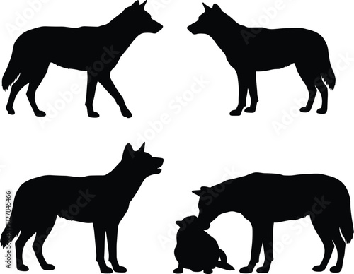 Canine silhouette vector, animal family interaction, wild dog clipart, black graphic design, caring posture icon, isolated wildlife behavior